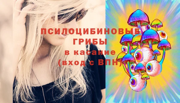 Альфа ПВП Майский