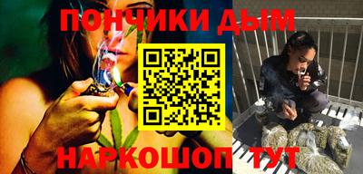 крисы Гай