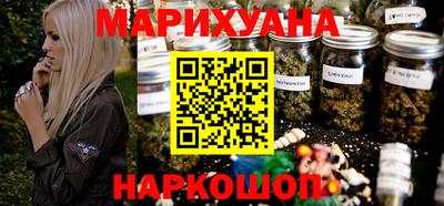 крисы Гай