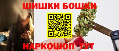 крисы Гай