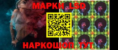 крисы Гай