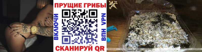 Галлюциногенные грибы Psilocybe  KRAKEN как войти  Мариинск 