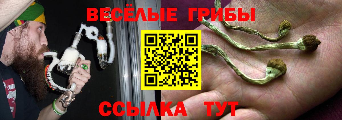 Псилоцибиновые грибы мухоморы  Галлюциногенные грибы Psilocybine cubensis  Мариинск  Вход с VPN 