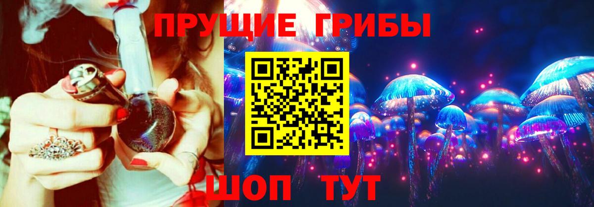 Псилоцибиновые грибы Cubensis Мариинск