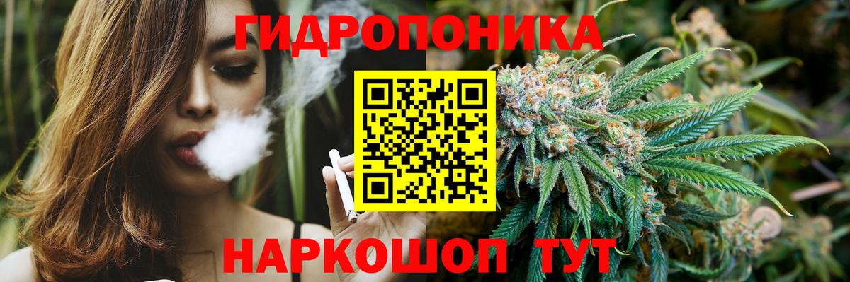 Бошки Шишки MAZAR Мариинск